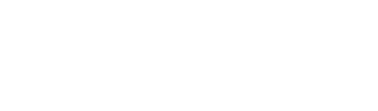 Next Level Investing